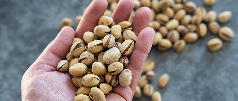 Europistachios-carrusel-3